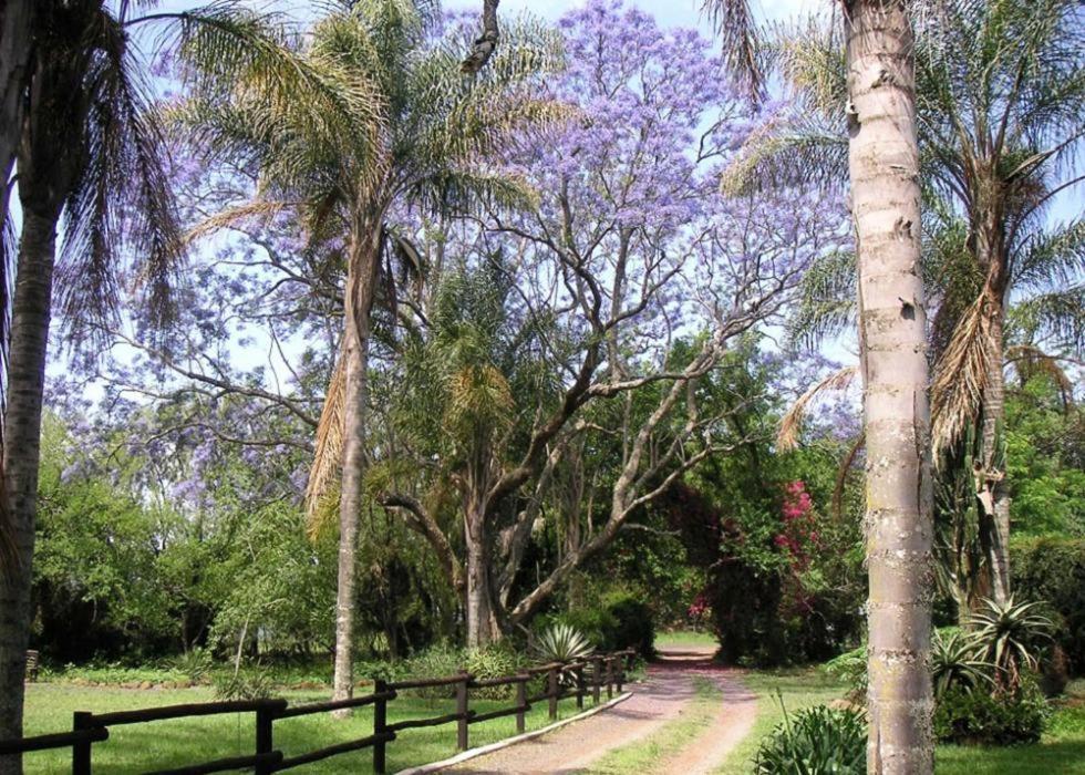 Lodge Mon Desir Pietermaritzburg